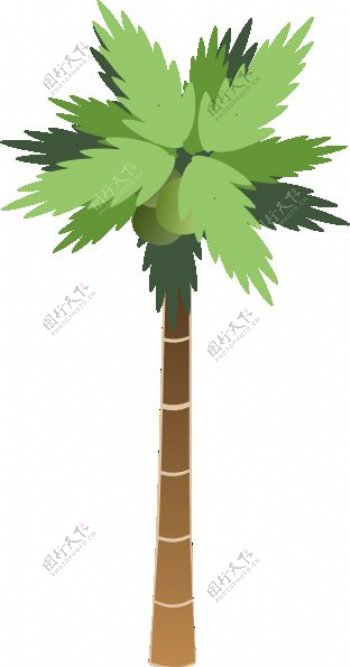 棕榈树的剪辑艺术5