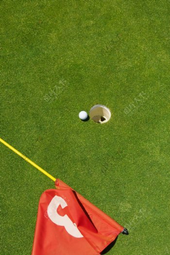 高尔夫球场摄影高清图片