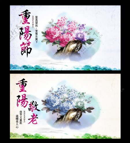 中国风漂亮菊花重阳节图片