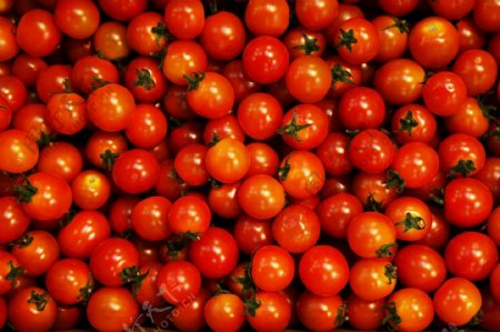 一堆西红柿图片