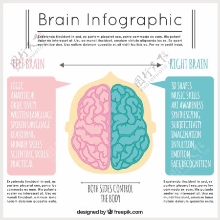 大脑的信息图表模板在粉红色和蓝色色调