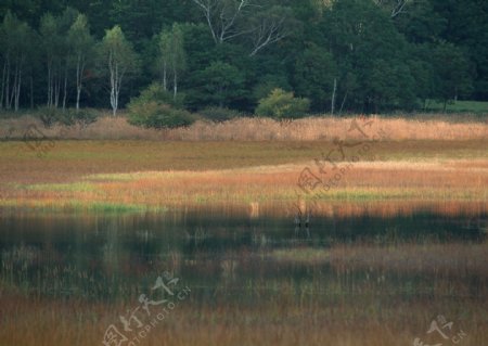 秋季红叶和湖水