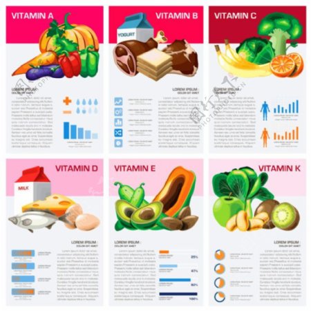 牛奶蔬菜图表图片