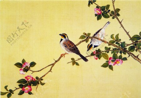 花鸟画中国古画传统国画11