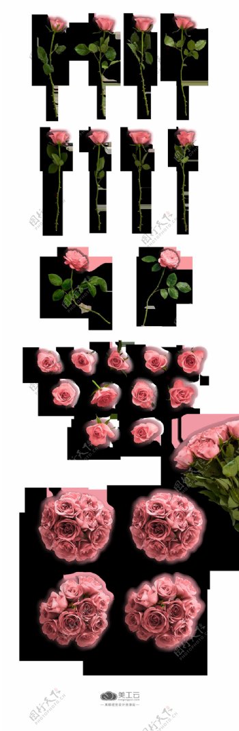 情人节玫瑰花透明元素