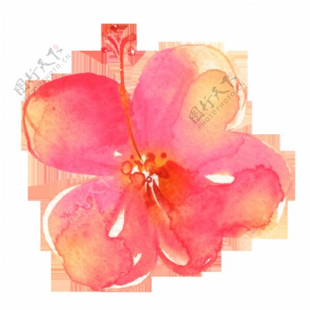 彩绘粉红色高清花朵花瓣素材