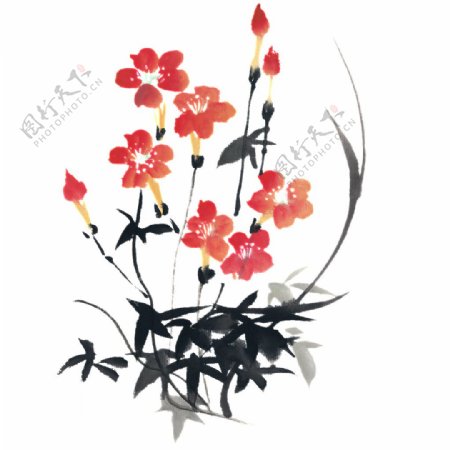 中国水墨花朵红色素材