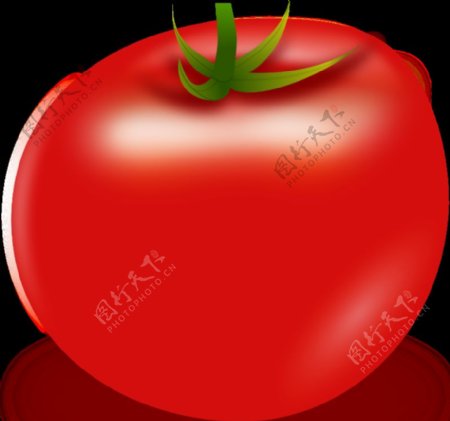 向量番茄