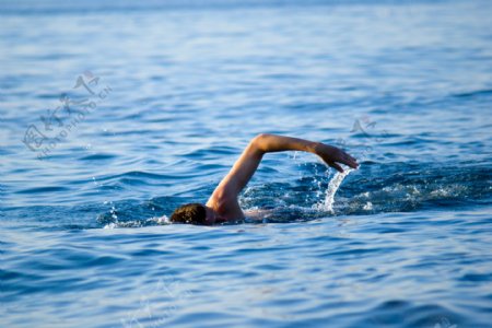 大海中游泳的男人图片