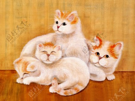 猫咪宠物手绘画98猫