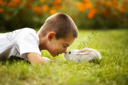 和兔子玩耍的儿童图片