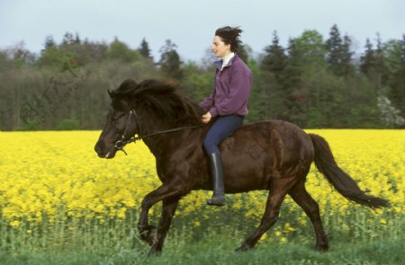 田间骑马的女孩图片