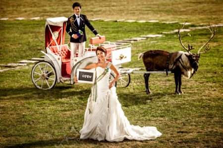 草地驾马的新人婚纱摄影图片