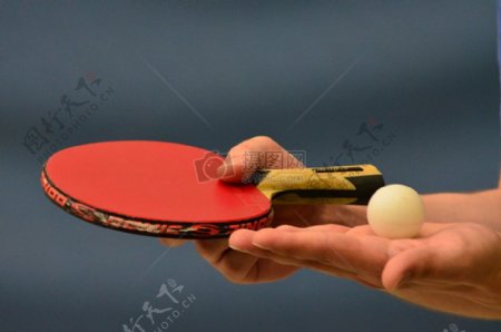 手中的乒乓球与球拍