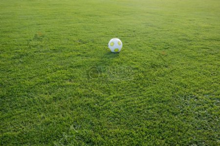 放在草坪上的足球
