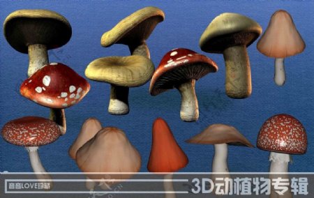 高清3D蘑菇