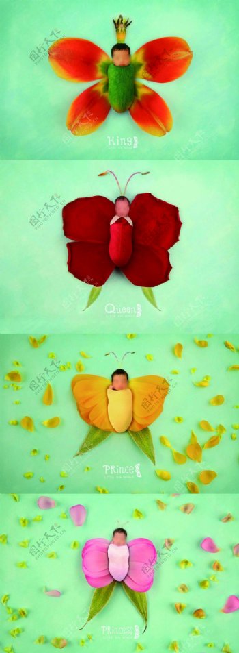 3D婴儿梦幻蝴蝶主题海报