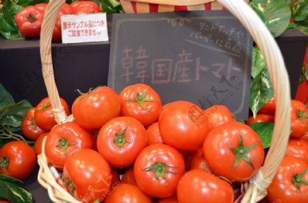 韩国西红柿图片