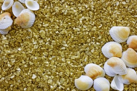 金色的鹅卵石和贝壳