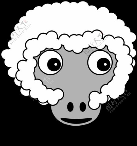sheep002