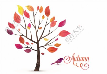 秋季树木和鸟矢量素材
