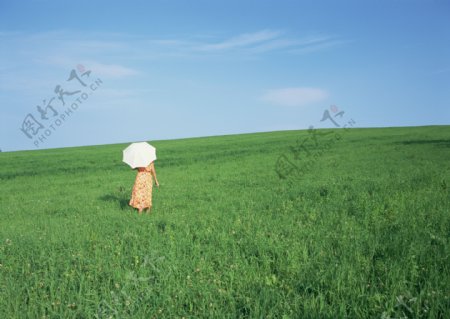 在草地里行走的女人图片