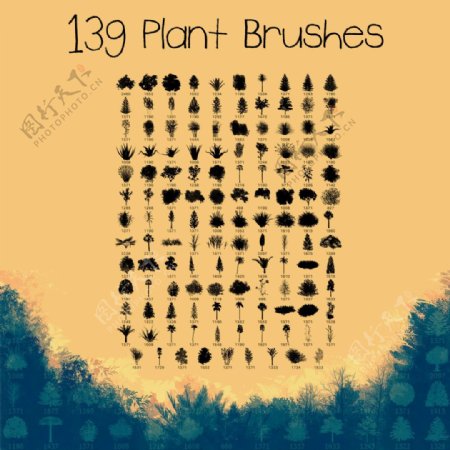 139款各种树木等植物PS笔刷
