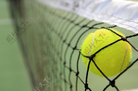 网球运动项目图片