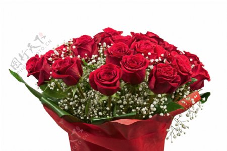 鲜艳红玫瑰花束图片