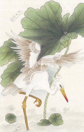 花鸟中国画20