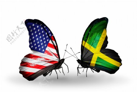 美国牙买加国旗蝴蝶