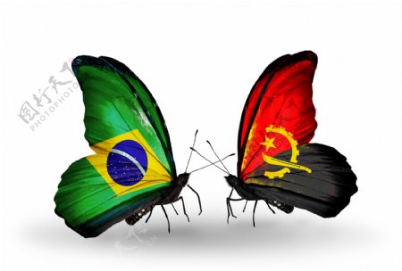 巴西与安哥拉花朵国旗