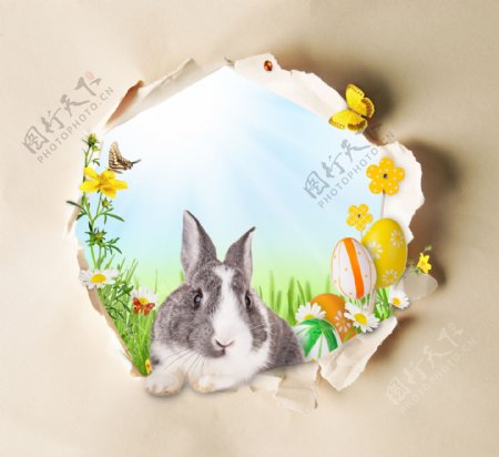 兔子与复活节彩蛋