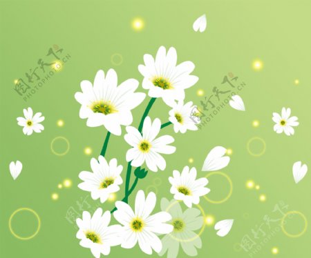 白色花朵装饰背景墙