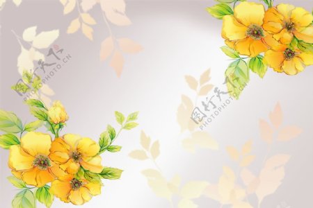 黄色花朵背景墙