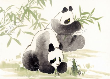 熊猫写意动物画国画0030