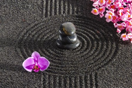 黑色沙地上的鹅卵石和花朵图片