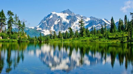 美丽的雪山森林湖泊风景图片
