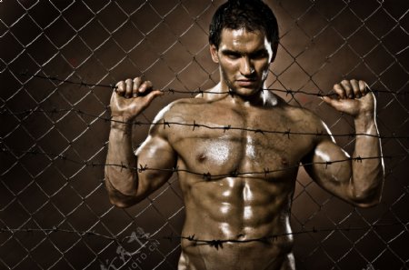 摸铁栏的肌肉男图片