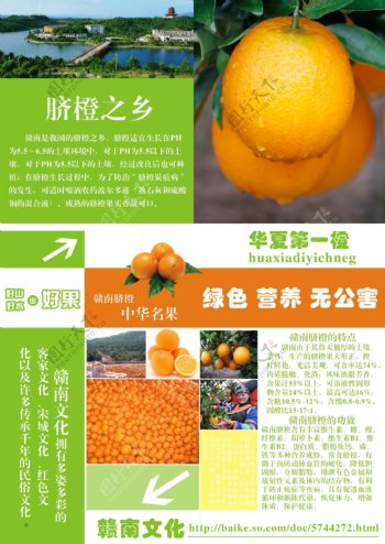 水果赣南脐橙宣传单海报排版设计
