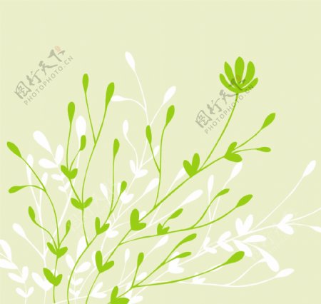 绿色植物花卉背景