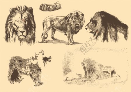 狮子老风格图纸