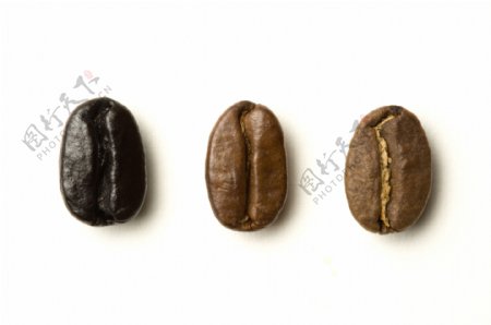 三粒咖啡豆图片