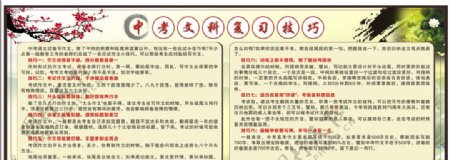 中考文科复习技巧宣传栏