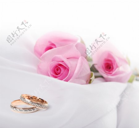 玫瑰花和戒指