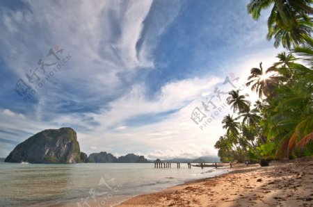 美丽海滩椰树风景