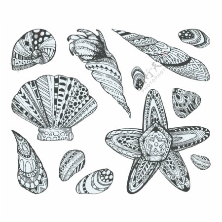 手绘创意图案贝壳设计插画