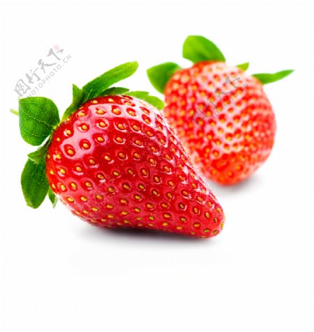 两颗可爱的草莓
