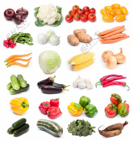 24种常见蔬菜高清图片素材