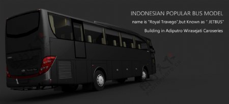 印尼总线模型